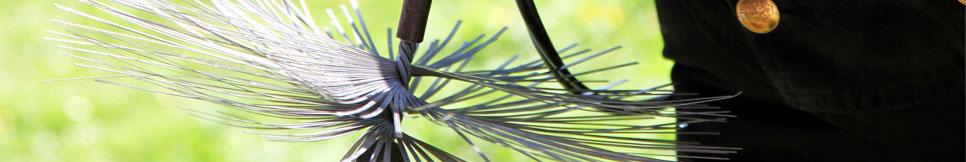 Banner - 